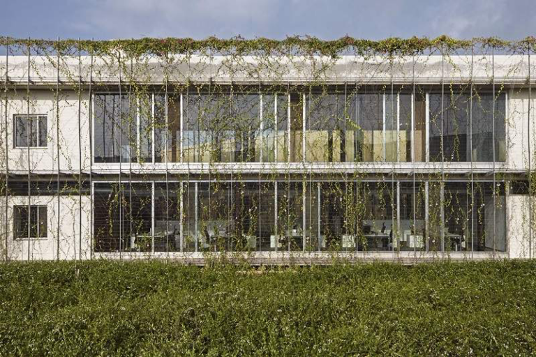 Fachadas vivas: cuando la vegetación forma parte de la piel del edificio